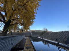 -自如ZSPACE四合院艺术餐厅