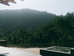 -大埔公路-马料水段香港中文大学(公交站)