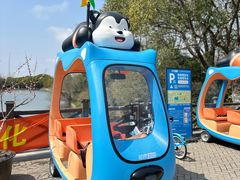 -上海海湾国家森林公园