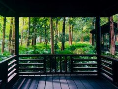 -杭州植物园