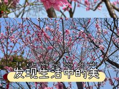 -常德桃花源景区