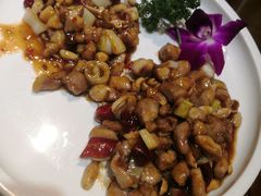 -朝郡酒家·粤菜(燕大星苑店)