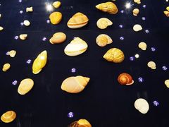 -青岛贝壳博物馆