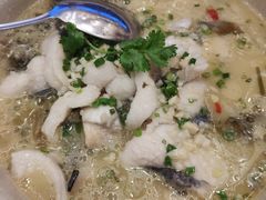 沸腾发财鱼-皇马假日醉海南大酒店·假日一品派茶楼(秀英店)