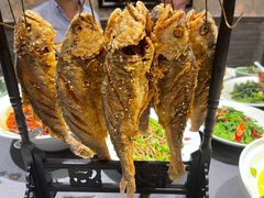 -北平盛世·新京菜·北京烤鸭(劲松·双井店)