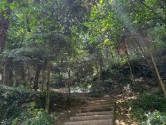 -上海佘山国家森林公园天马山园