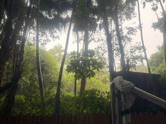 -碧水湾温泉