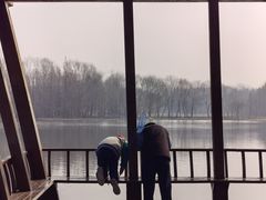 -溱湖国家湿地公园