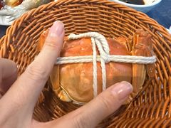 -蟹村草堂·苏式园林人文农家·大闸蟹