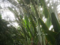 -龙达温泉生态城