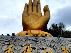 -云南屏边大围山国家公园