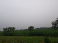 -绿堤公园
