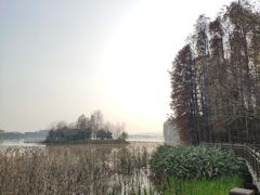 -东湖落雁景区