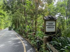 -西双版纳原始森林公园