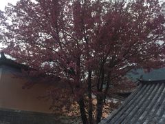 -天龙八部武侠城