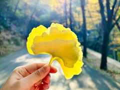 -穹窿山景区