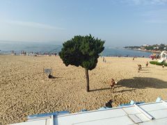 -青岛第二海水浴场