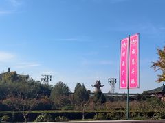 -龙口南山旅游景区