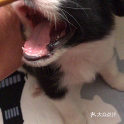 1B_bTu80HhowL1JtqMxvfpXagIGkV_JF_iY-kHD-rApmYHZdSeUjkPyh5-nTQ1W5uzFvxlbkWx5uwqY2qcjixFEuLYk00OmSS1IdNpm8K8sG4JN9RIm2mTKcbLtc2o2vfCF2ubeXzk49OsGrXt_KYDCngOyCwZK-s3fqawWswzk.jpg