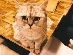 -小时光咖啡馆(北锣鼓巷店)