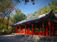 -北京动物园-畅观楼