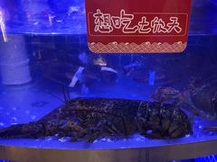 -七欣天香辣蟹火锅(淮安璟和名城店)