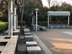 -吴淞炮台湾湿地森林公园烧烤区