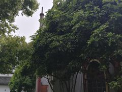 -凤凰寺