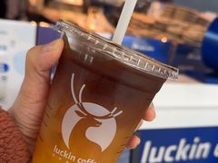 -瑞幸咖啡(深圳北高铁站内部店-B12检票口二楼)