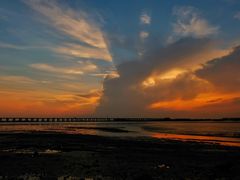 -宝安西湾红树林湿地公园