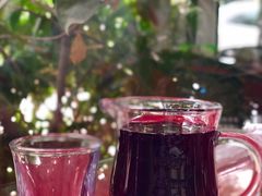 野葡萄酒-生态苑农庄(十里画廊遇龙河店)