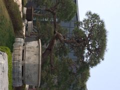 iphone_upload_pic-中国唐苑