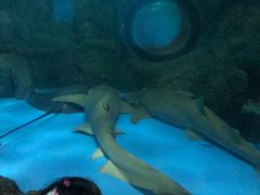 -常州海昌海洋探索馆