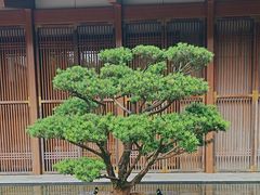 -晶采轩(虹桥路店)