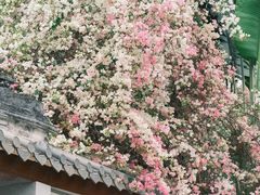 -深圳国际园林花卉博览园