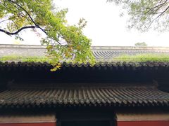 -闻道食府烙饼卷带鱼(原车耳营店原大觉寺店)