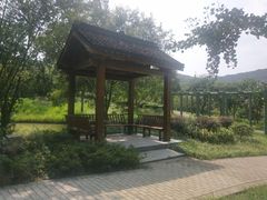 -龙寺生态园