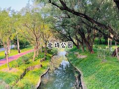 -北坞公园