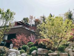 -唐御宴•御宴宫•唐代菜点(芙蓉西路店)