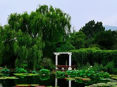 -国家植物园南园