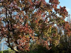 -艾溪湖湿地公园