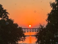 -宝安西湾红树林湿地公园