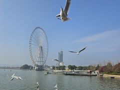 -蠡湖大桥公园