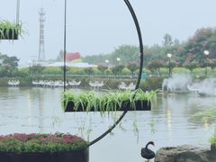 -荷兰花海