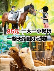 -宝燕乐园(闵行旗舰店)