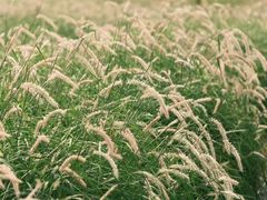 -汉长安城未央宫国家考古遗址公园