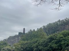 -南沙蒲洲花园