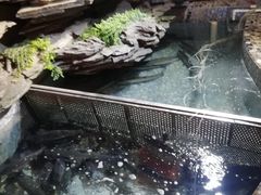 -山水茶艺馆·点心粤菜·30年老字号