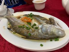 -蛇口康乐快餐鱼仔档(翠苑小区店)