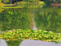 -上海辰山植物园